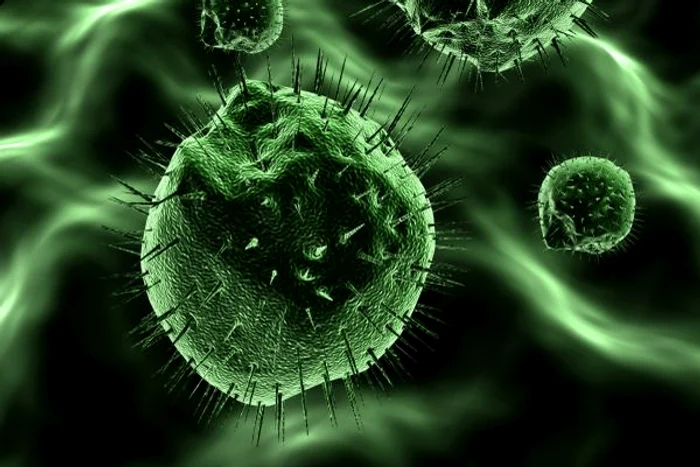 Cartofi pot trata multe afecțiuni, dar au și câteva contraindicații. www.clickpentrufemei.ro