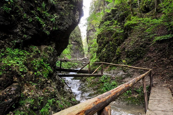 Cheile Moara Dracului se află aproape de Câmpulung Moldovenesc / foto: campulungmoldovenesc.ro