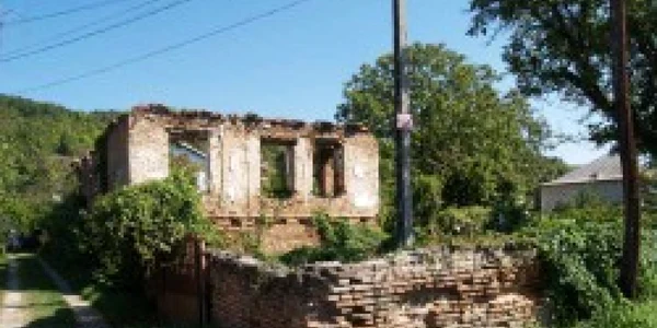 onaculului de vie de la Valea Mare