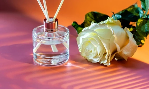 1 shutterstock 1917546482 jpg jpeg