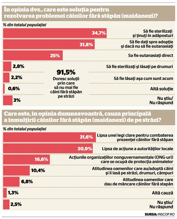 info pag 3 sondaj maidanezi