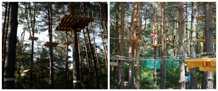 Traseele prin copac / foto: parc-aventuri.ro