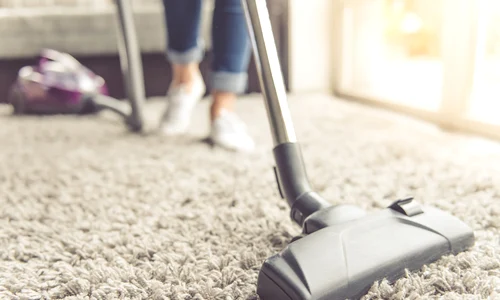 1 curatenia de toamna in casa jpg jpeg