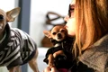 banner anca badiu png
