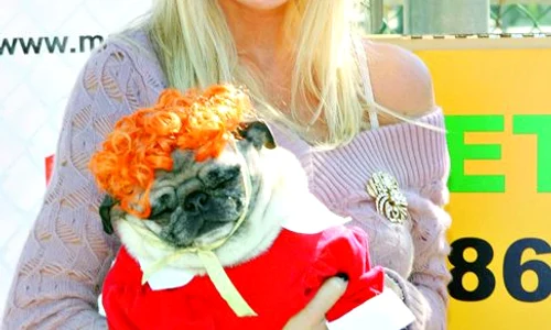 Tori  Spelling jpeg
