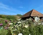 Satul Negoiu din Lunca Cernii de Jos, Hunedoara, Foto Daniel Guță, ADEVĂRUL (7) jpg