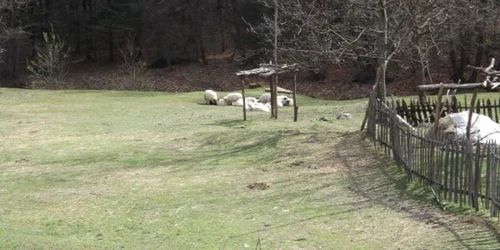 alerta in muntii mehedintiului FOTO Corina Macavei