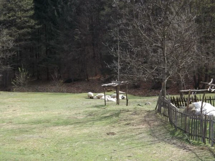 Un elicopter SMURD va ajunge în zonă FOTO Corina Macavei