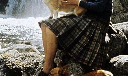 4 b7c91926d309f1ed7fac458951bd1d37 jpg jpeg