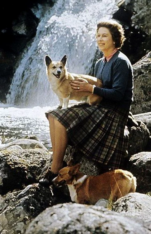 4 b7c91926d309f1ed7fac458951bd1d37 jpg jpeg