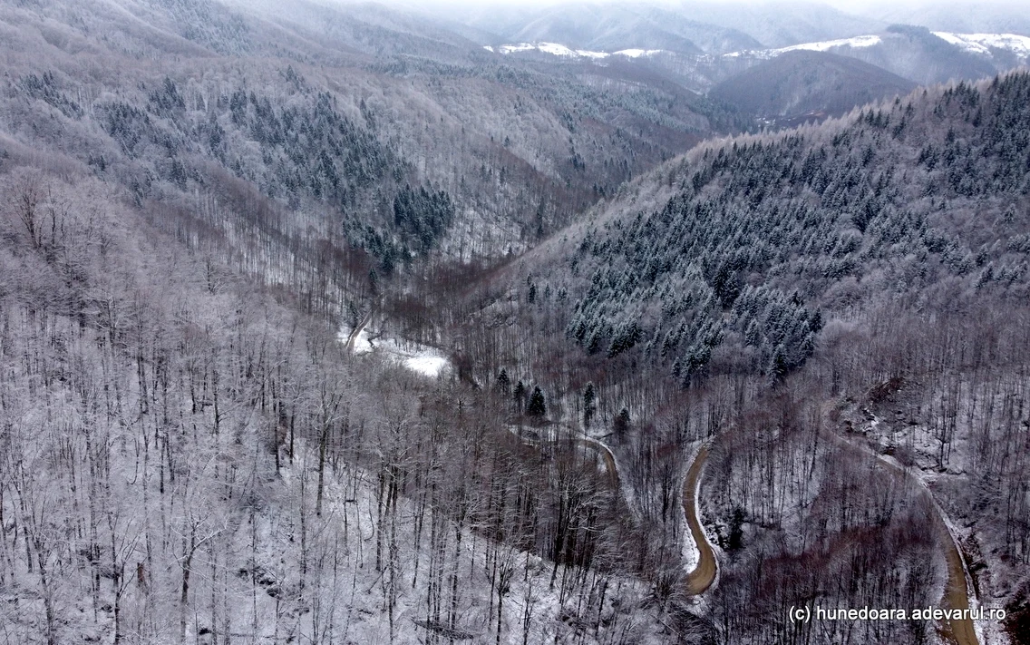 Fata Cetei  Foto Daniel Guță  ADEVĂRUL (1) JPG