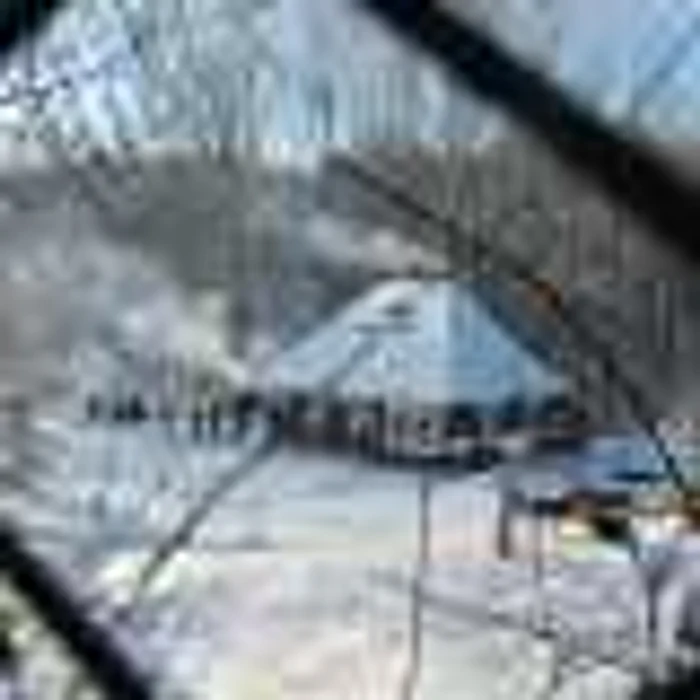 Ritualul tăierii porcului în Bucovina