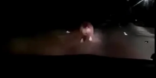 urs urmariut cu masina jpg