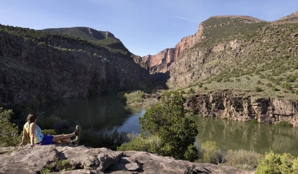 aD00NDAmaGFzaD01MDVmOGIxMzg0MzMzYzA5NjY0YjFmZWI5MWZkNmNjNQ== thumb jpg