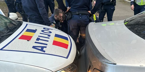 pericol public (3) jpeg