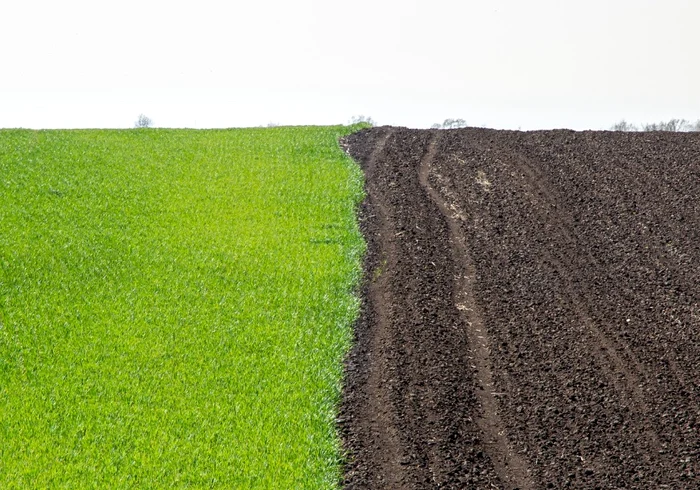 Mirosul venea de la un teren agricol FOTO Garda de Mediu Arad 