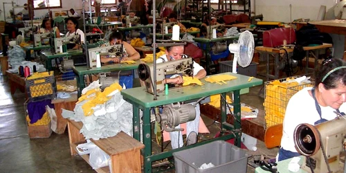 Angajaţii trebuie să muncească cu forme legale 