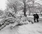 Iarna în Bucureşti FOTO Sever Gheorghe