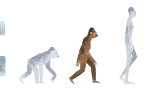 Google și a schimbat logo ul pentru a aniversa descoperirea australopitecului Lucy png
