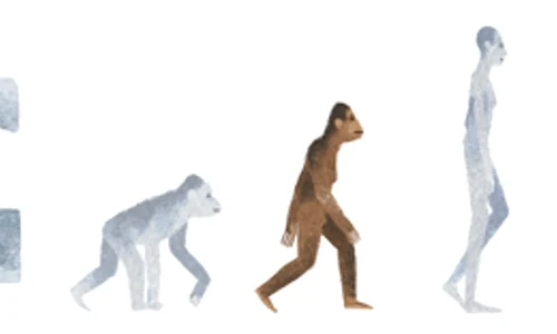 Google și a schimbat logo ul pentru a aniversa descoperirea australopitecului Lucy png