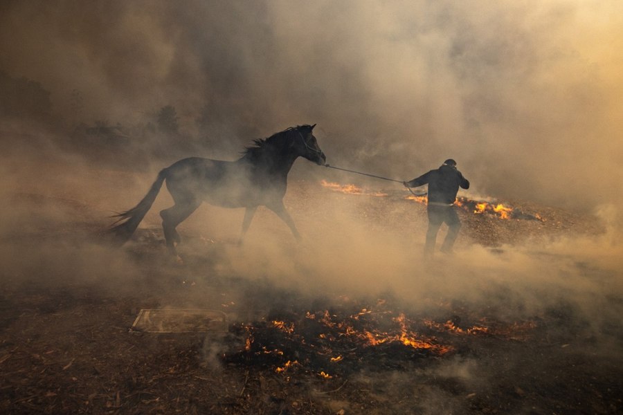 Los Angeles este sub stare de urgență, din cauza incendiilor. Flăcările au distrus zeci de locuințe