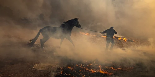 Crescătorii evacuează caii dintr o fermă cuprinsă de incendiu în apropiere de Simi Valley la nord de Los Angeles California Statele Unite ale Americii FOTO EPA EFE Etinenne Laurent