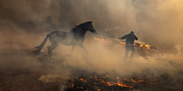 Crescătorii evacuează caii dintr o fermă cuprinsă de incendiu în apropiere de Simi Valley la nord de Los Angeles California Statele Unite ale Americii FOTO EPA EFE  Etinenne Laurent