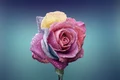 image png