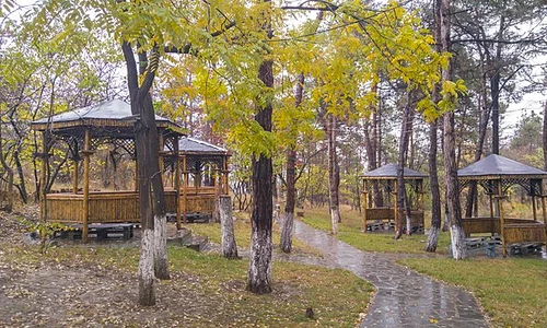 Vake Park, Tbilisi City, Georgia Country, autumn Season 05 jpg