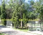 Grădina Zoologică din Slatina este închisă din anul 2008