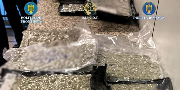 Cetățean albanez prins cu 22 kg de canabis pe Aeroportul Otopeni – reținut de DIICOT