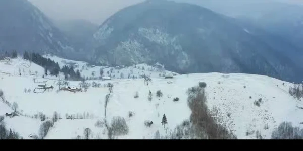 318764536 672001271050468 6814900010094833820 n mp4 thumbnail png
