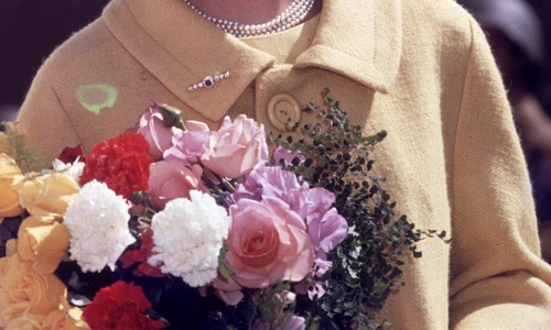 1 gettyimages 3141766 jpg jpeg