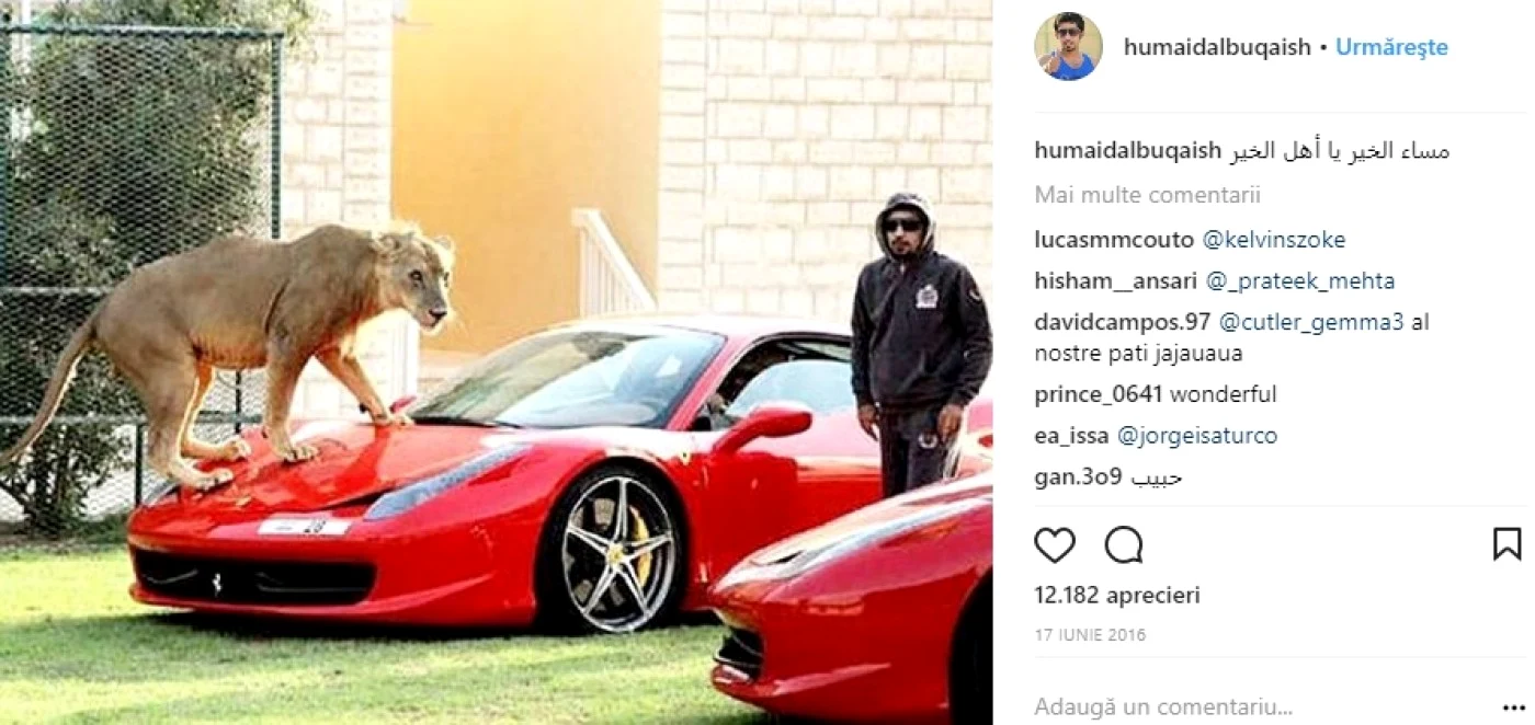 animale de comapnie dubai foto instagram Humaid AlBuQaish
