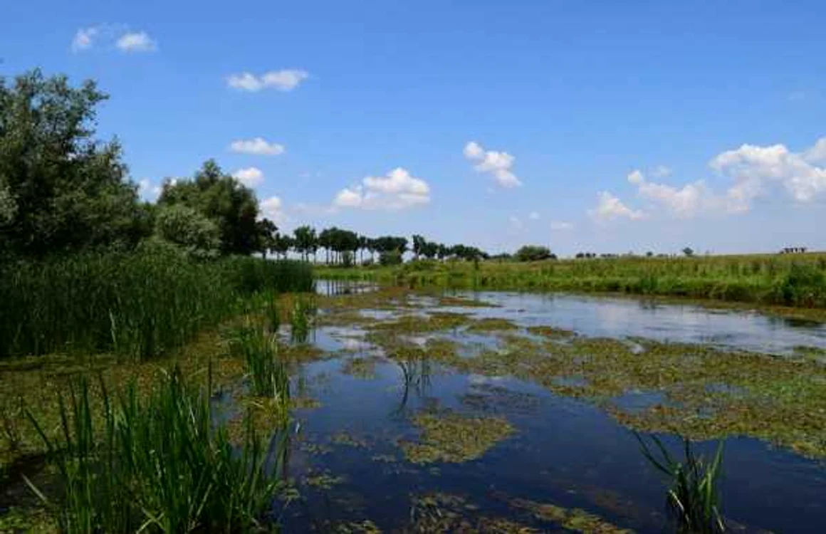 Rezervaţia naturală Comana, un colţ de rai FOTO Facebook/Parcul Comana