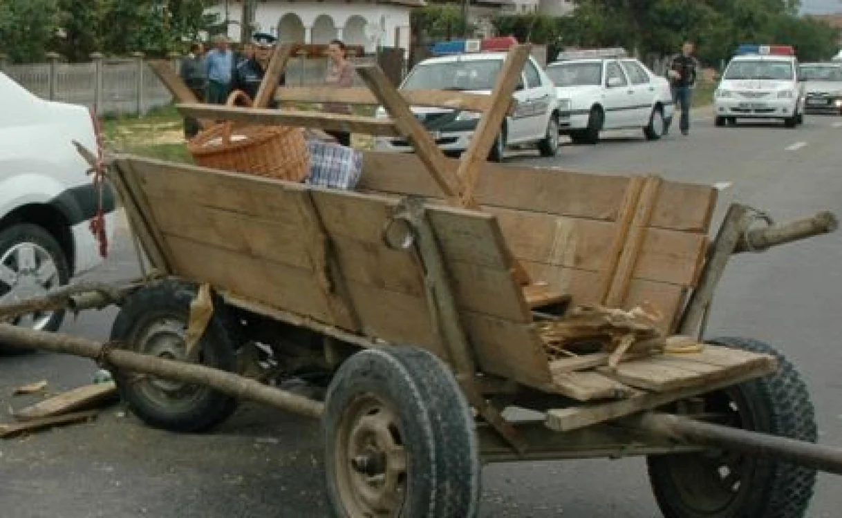 Bărbatul de 58 de ani transporta lemne cu căruţa din pădurea Făget FOTO: www.tulcea-info.ro