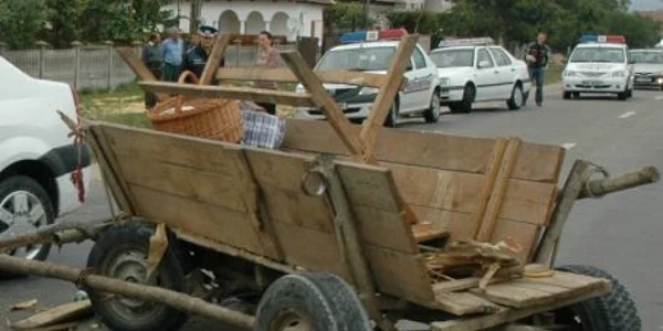 Bărbatul a transportat lemne din pădure  