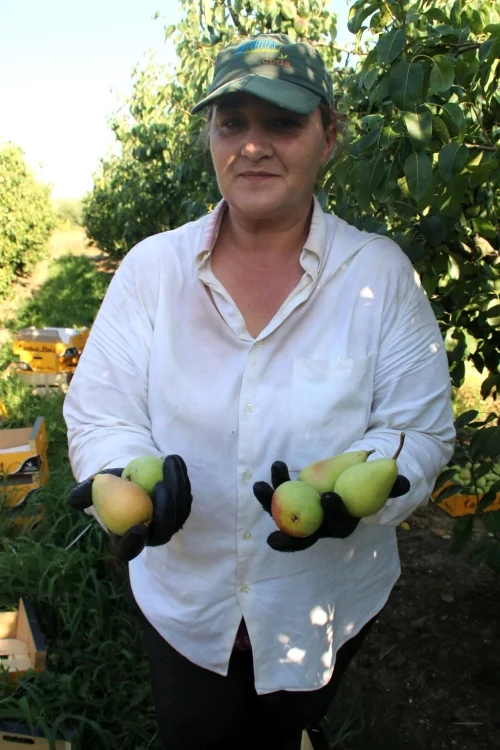 Angela Mihaela Chirobocea / Foto: Hoy