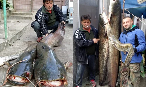 pescari jpeg