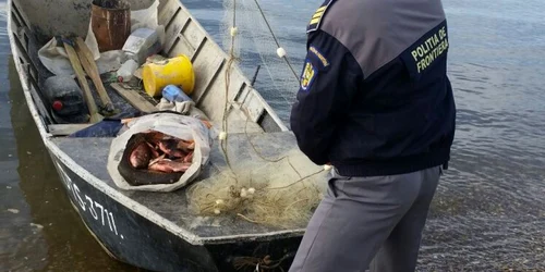 braconieri FOTO STPF Mehedinti 