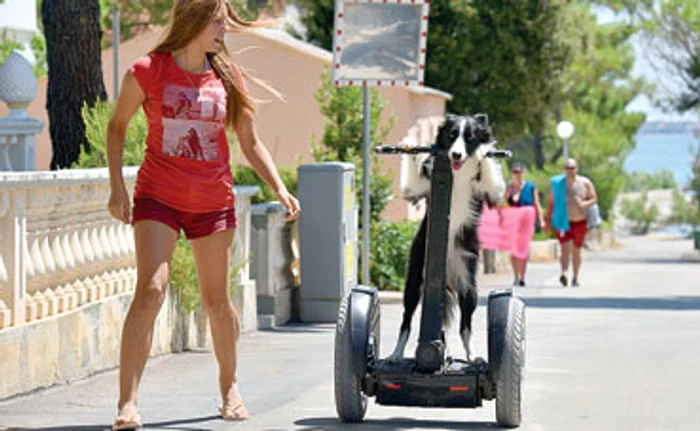 Căţeluşa o lasă de multe ori în urmă pe stăpâna ei Karla