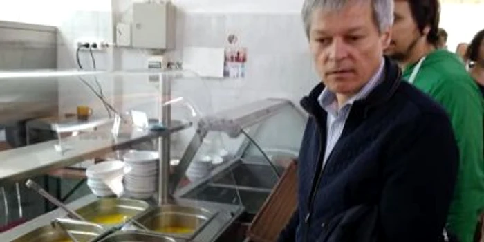 ciolos alba cantina