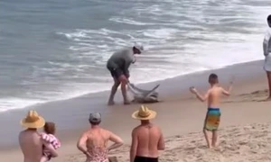 muscat de rechin cand il elibera, captura video jpg