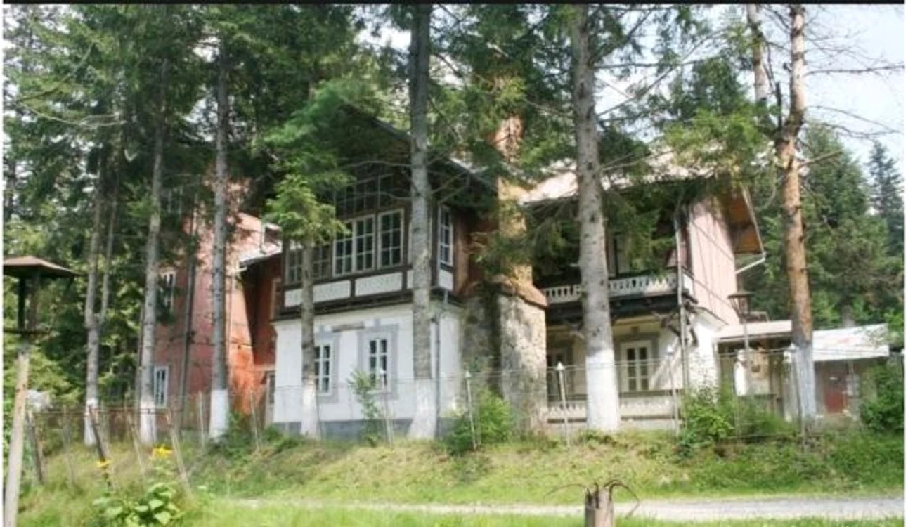 FOTO argument-cs.ro