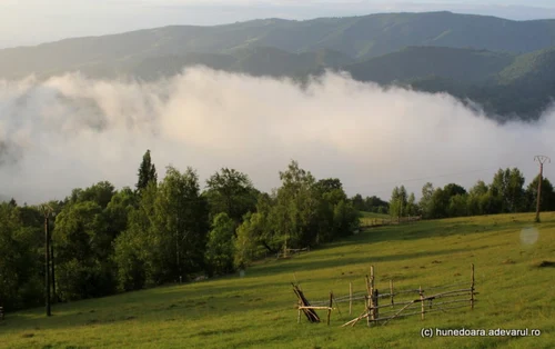 tarsa foto daniel guta adevarul