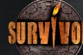 Survivorr e1732526004318 1200x676 webp