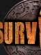 Survivorr e1732526004318 1200x676 webp