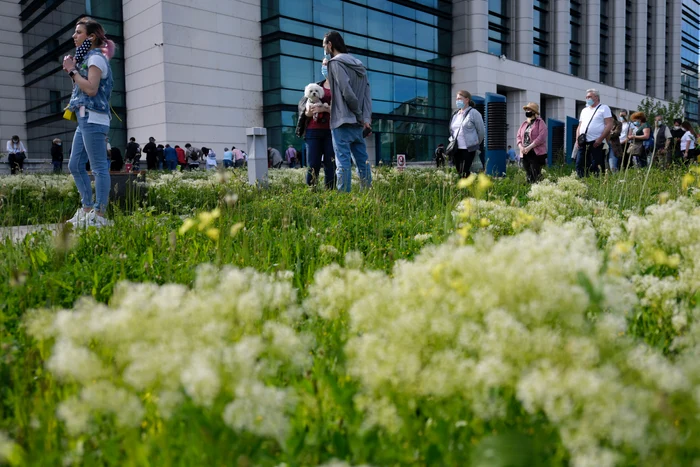 Până sâmbătă la prânz, la Maratonul Vaccinării de la Bucureşti au fost vaccinate, în total, un număr de 5.547 de persoanefoto: Mediafax