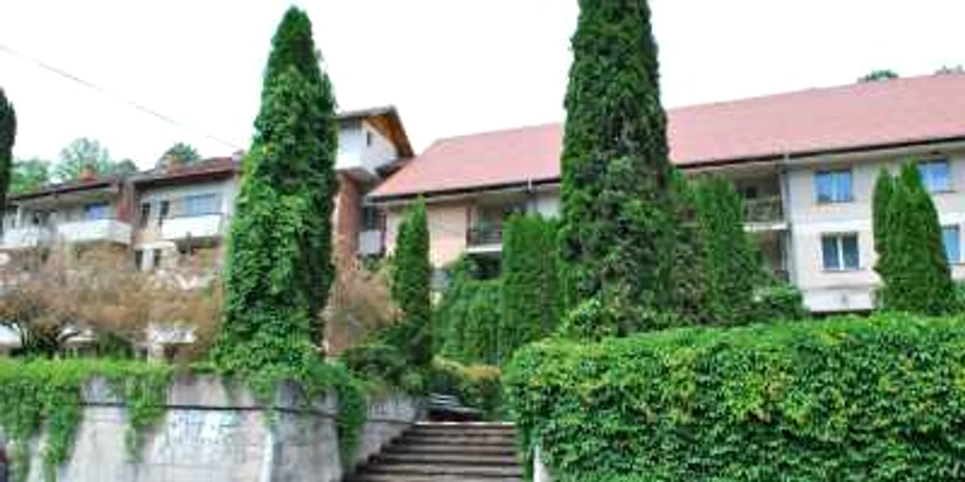 Stațiunea Negulești