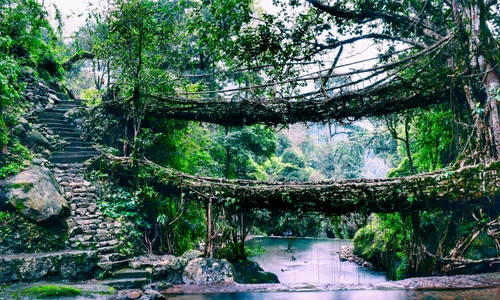 1 shutterstock 634408664 jpg jpeg